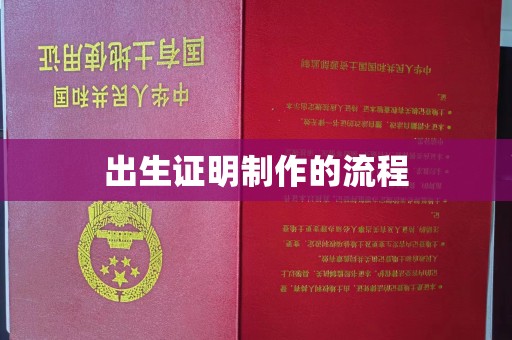 卫滨出生证明制作的流程